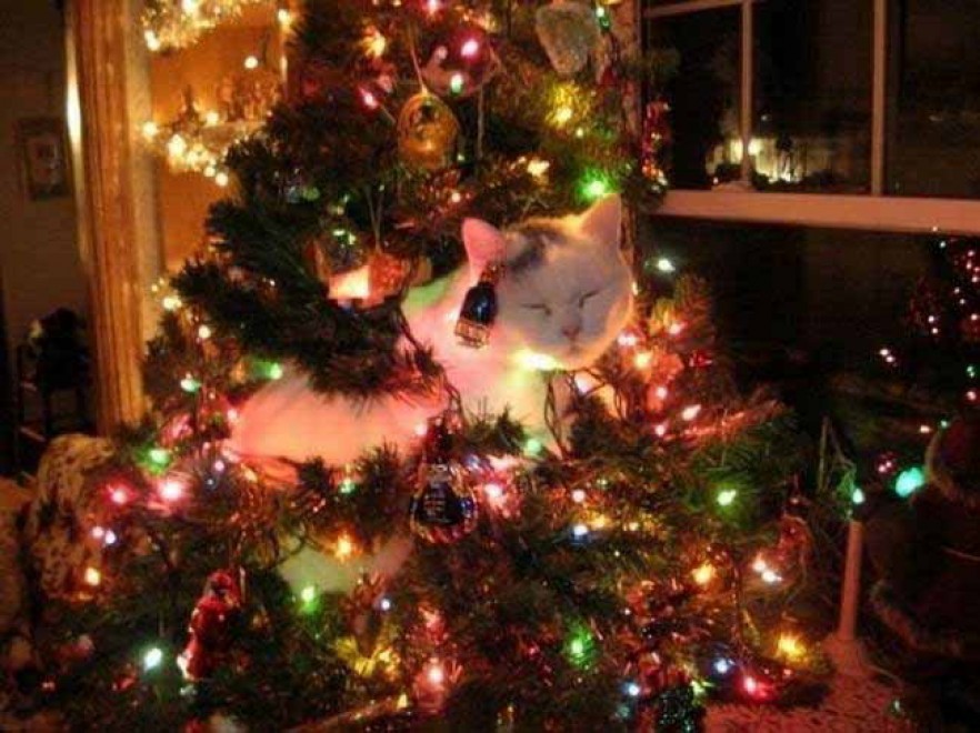 Un Natale da cani: disastri sotto l'albero