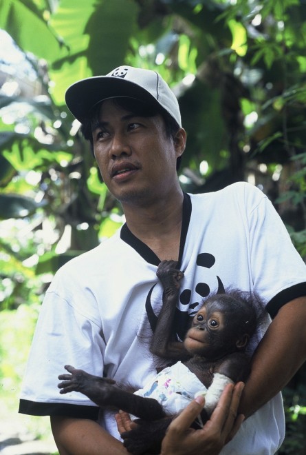 Wwf, tanti cuccioli senza mamma. Ma a Natale se ne pu&ograve; "adottare" uno