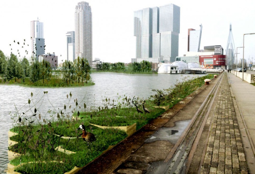 Rotterdam, il parco galleggiante &egrave; fatto di rifiuti