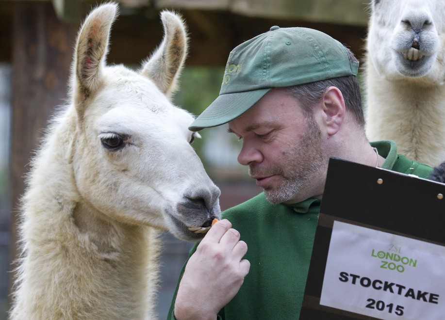 Zoo di Londra, il censimento &egrave; bestiale