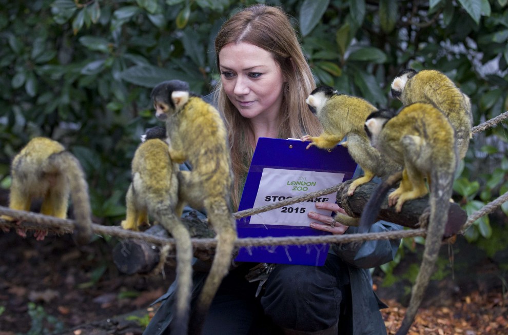 Zoo di Londra, il censimento &egrave; bestiale