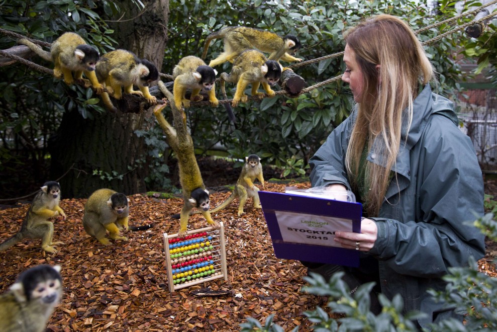 Zoo di Londra, il censimento &egrave; bestiale