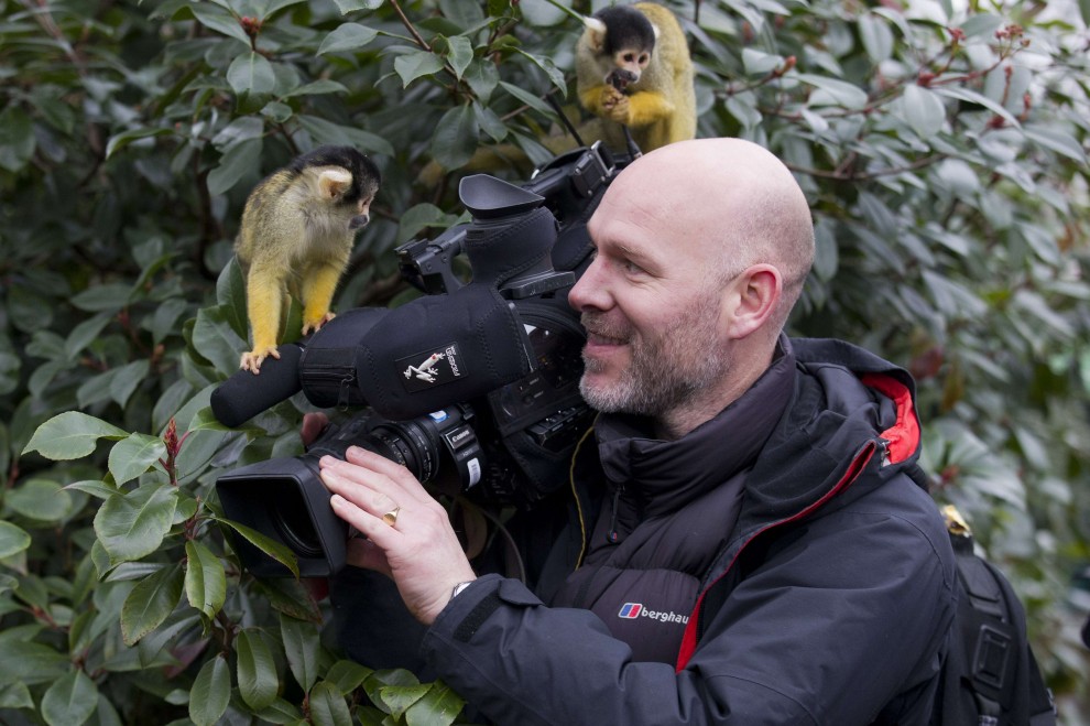 Zoo di Londra, il censimento &egrave; bestiale