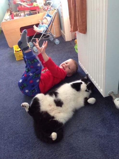 A lezione da cani e gatti: bambini che pensano di essere animali