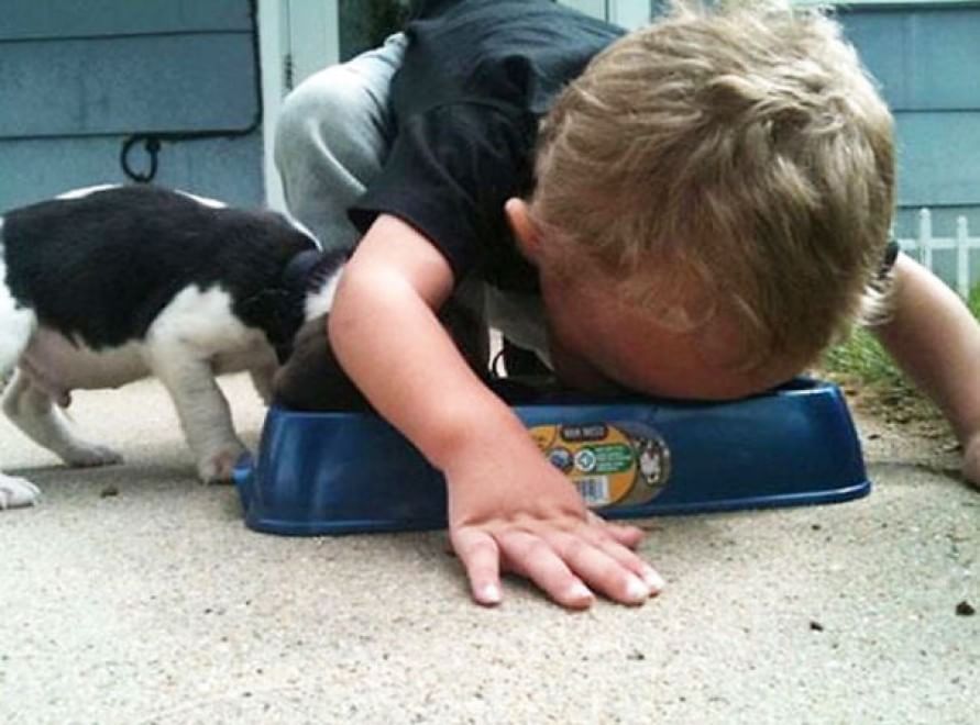 A lezione da cani e gatti: bambini che pensano di essere animali