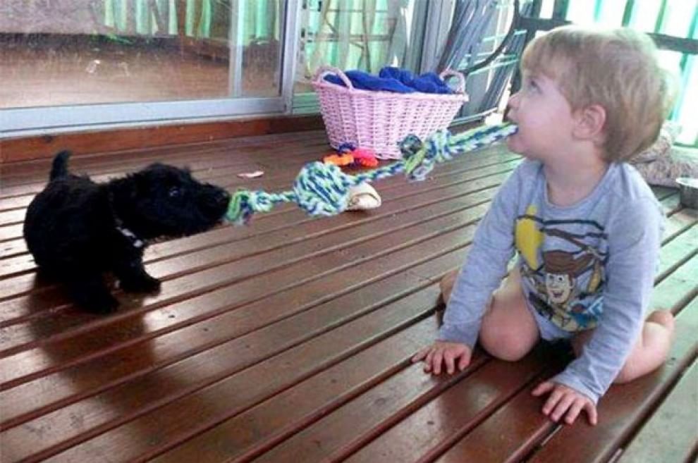 A lezione da cani e gatti: bambini che pensano di essere animali