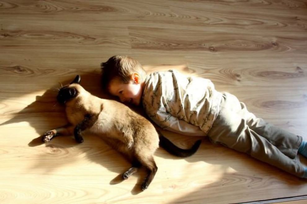 A lezione da cani e gatti: bambini che pensano di essere animali
