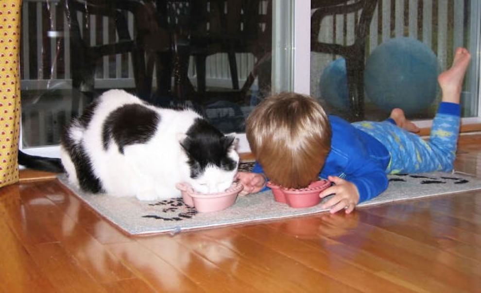 A lezione da cani e gatti: bambini che pensano di essere animali