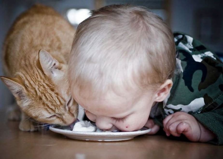 A lezione da cani e gatti: bambini che pensano di essere animali