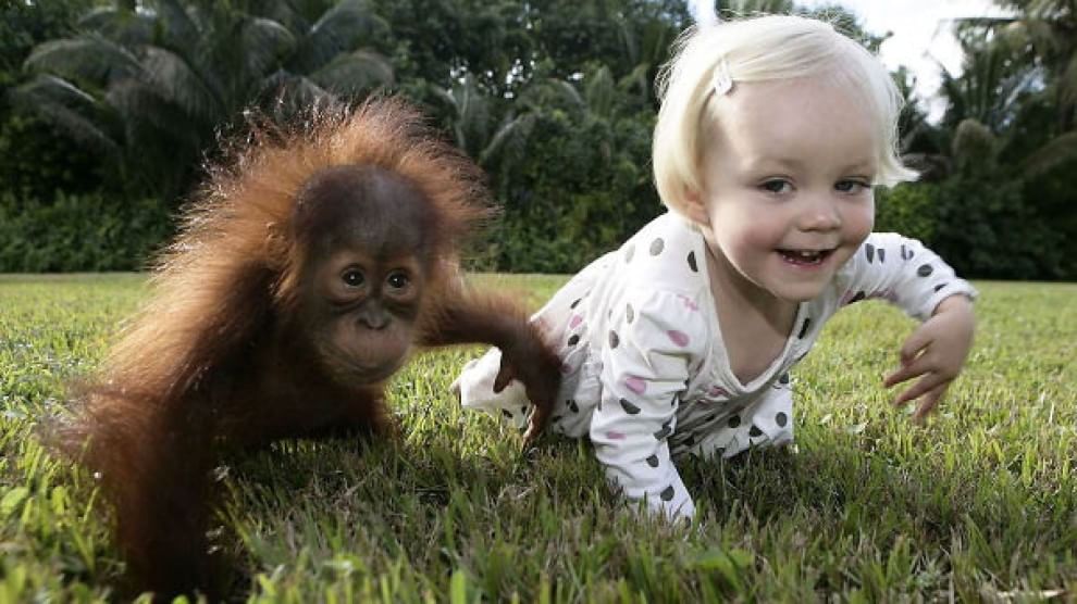 A lezione da cani e gatti: bambini che pensano di essere animali