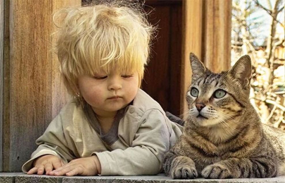 A lezione da cani e gatti: bambini che pensano di essere animali