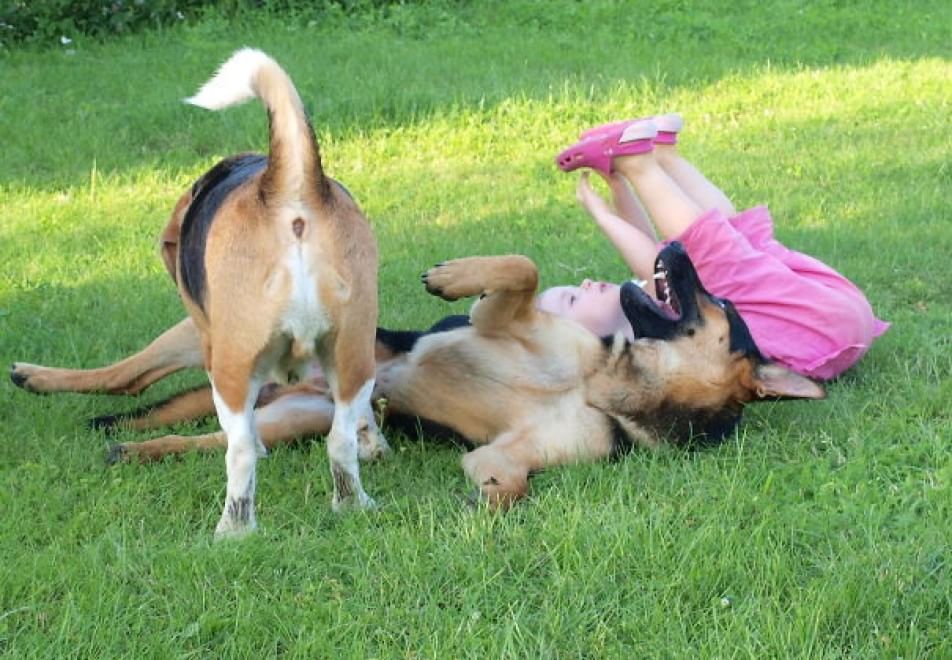A lezione da cani e gatti: bambini che pensano di essere animali