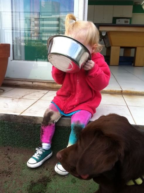 A lezione da cani e gatti: bambini che pensano di essere animali