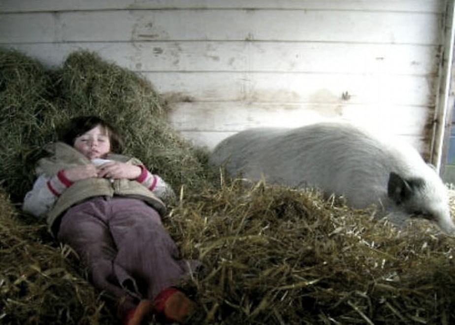 A lezione da cani e gatti: bambini che pensano di essere animali