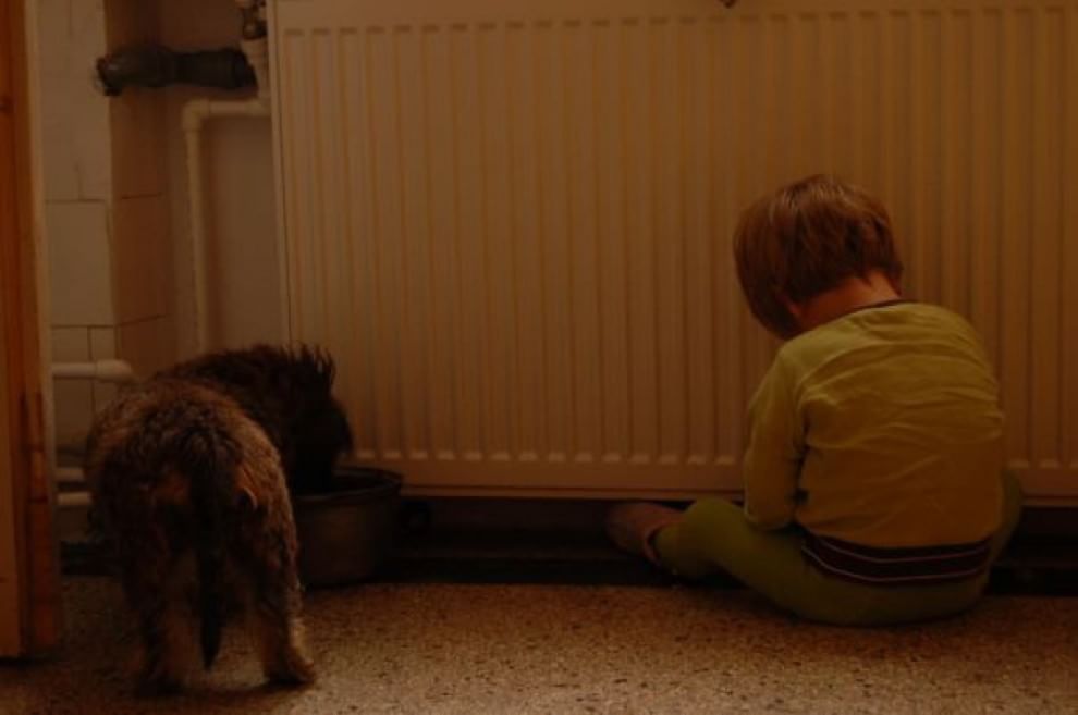 A lezione da cani e gatti: bambini che pensano di essere animali