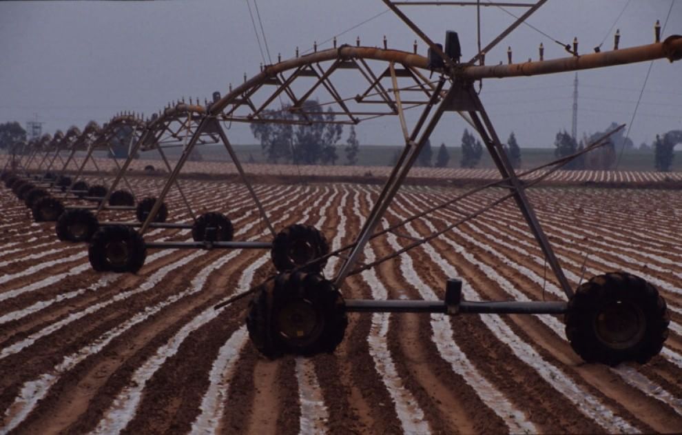 Ambiente e ecosistema vittime dello spreco alimentare