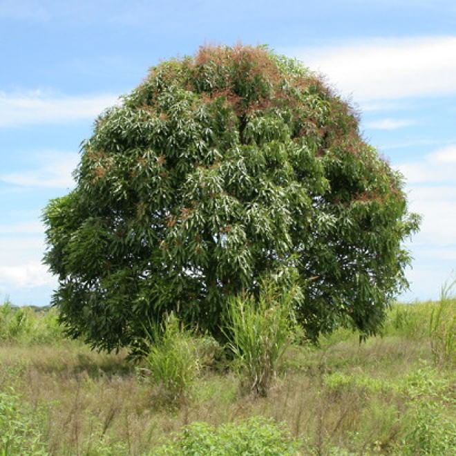 A San Valentino i regali amano la natura