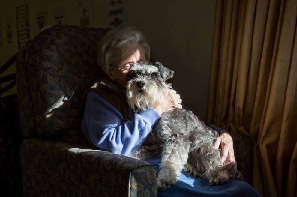 Lavori da cani: eroi a quattro zampe