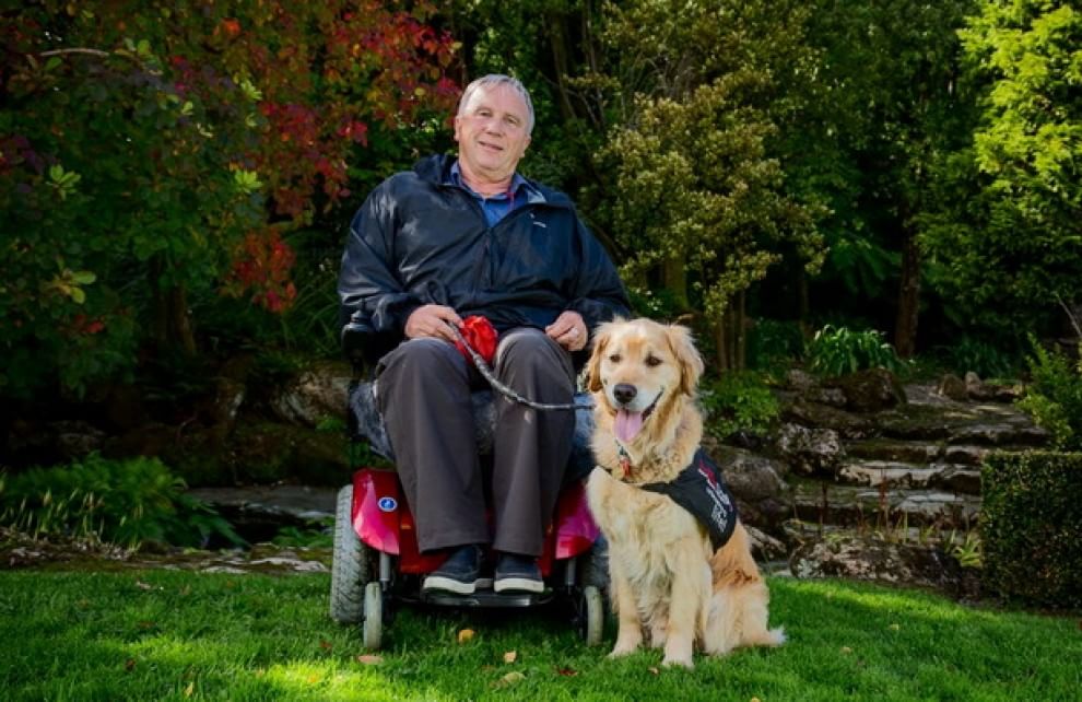 Lavori da cani: eroi a quattro zampe