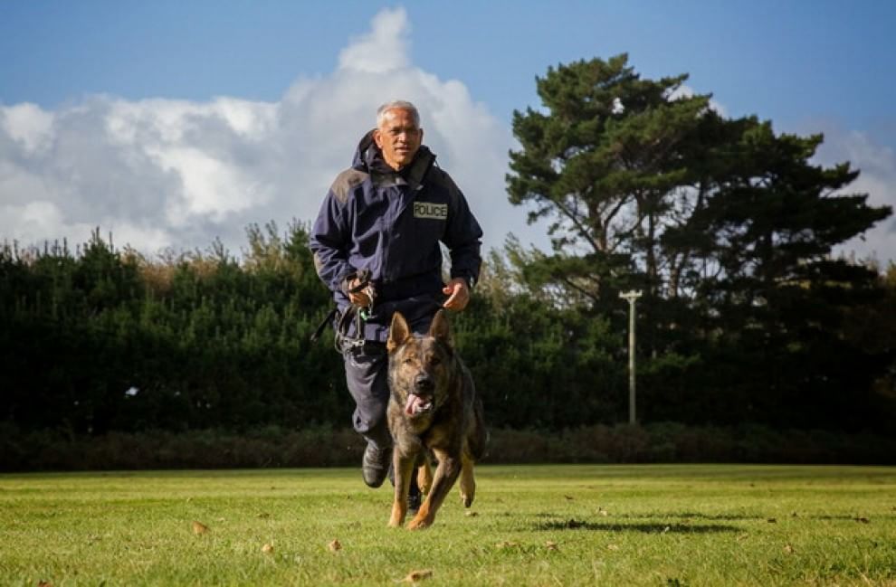 Lavori da cani: eroi a quattro zampe