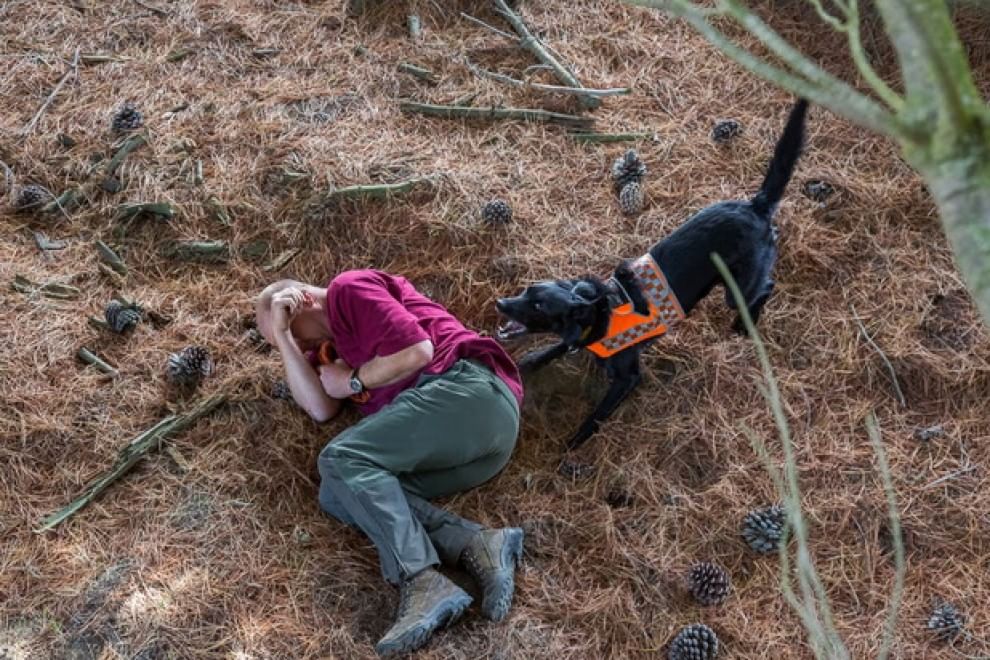 Lavori da cani: eroi a quattro zampe