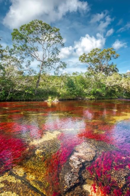 Colombia, il fiume &egrave; un arcobaleno