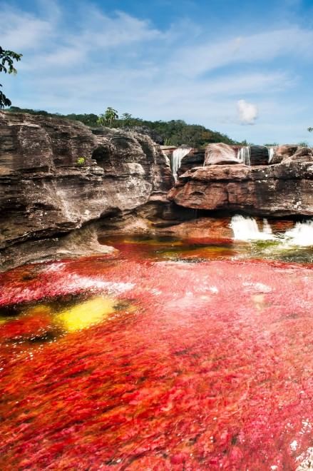Colombia, il fiume &egrave; un arcobaleno