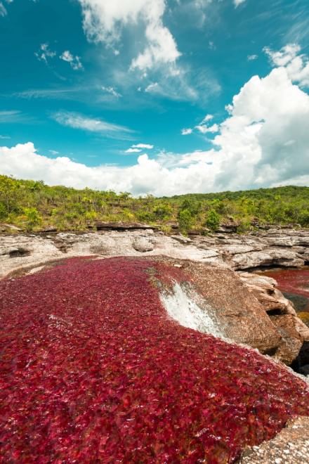 Colombia, il fiume &egrave; un arcobaleno