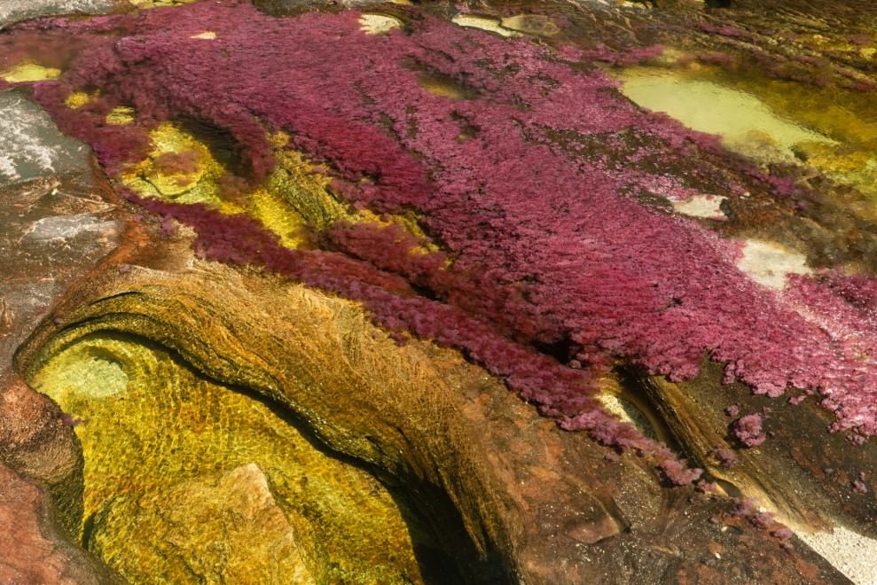 Colombia, il fiume &egrave; un arcobaleno