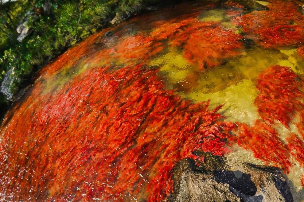 Colombia, il fiume &egrave; un arcobaleno