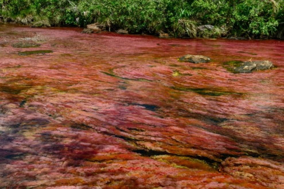 Colombia, il fiume &egrave; un arcobaleno