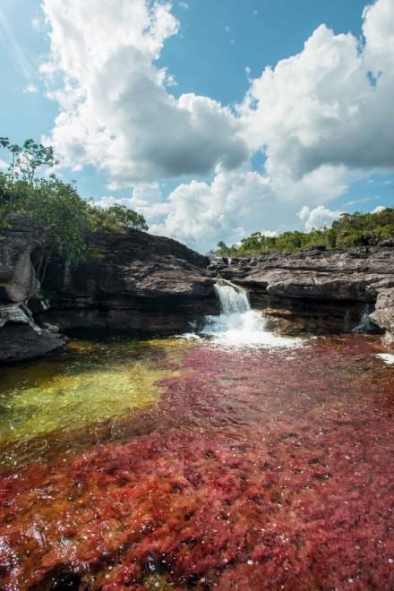 Colombia, il fiume &egrave; un arcobaleno