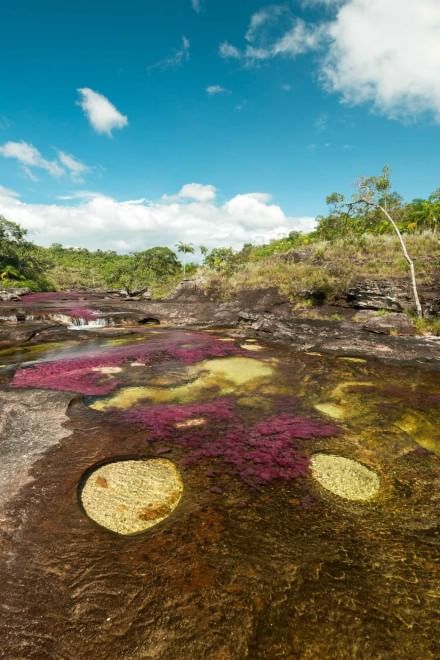 Colombia, il fiume &egrave; un arcobaleno