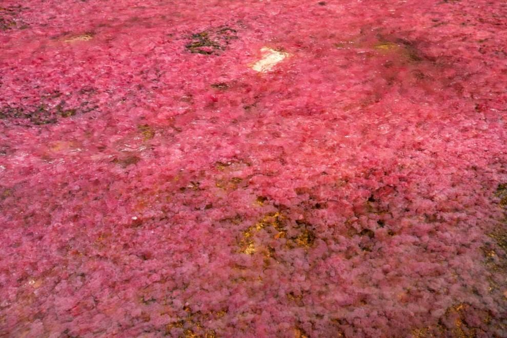 Colombia, il fiume &egrave; un arcobaleno