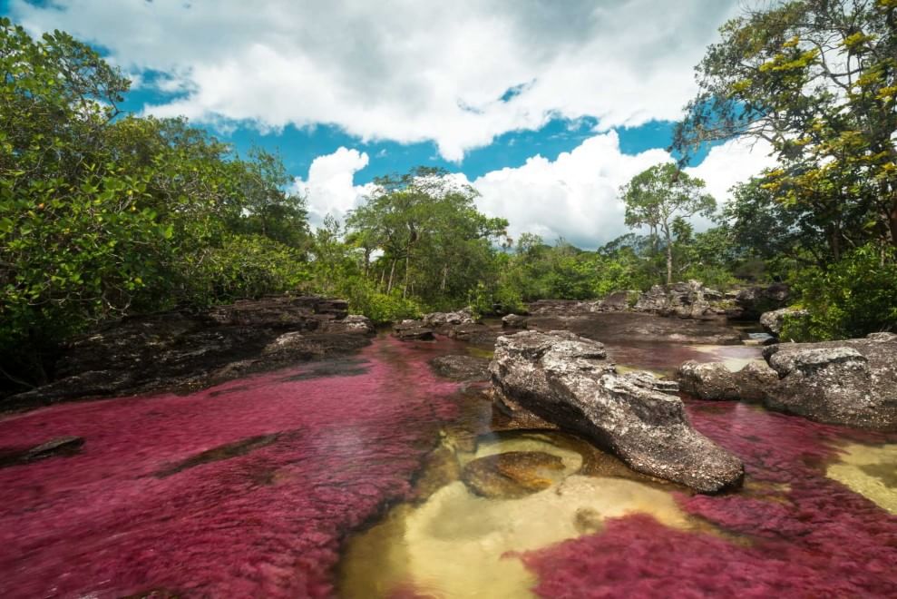 Colombia, il fiume &egrave; un arcobaleno