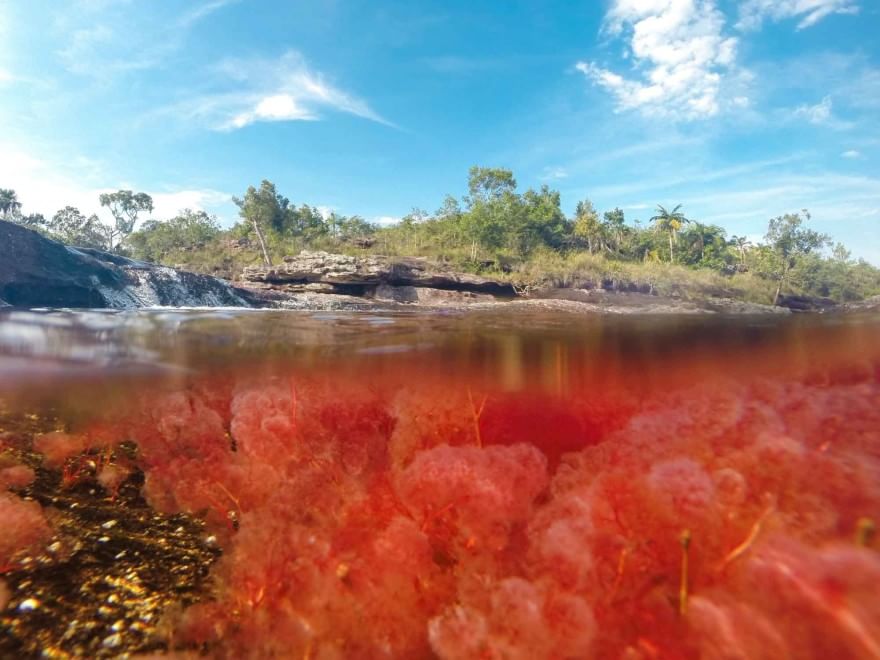 Colombia, il fiume &egrave; un arcobaleno