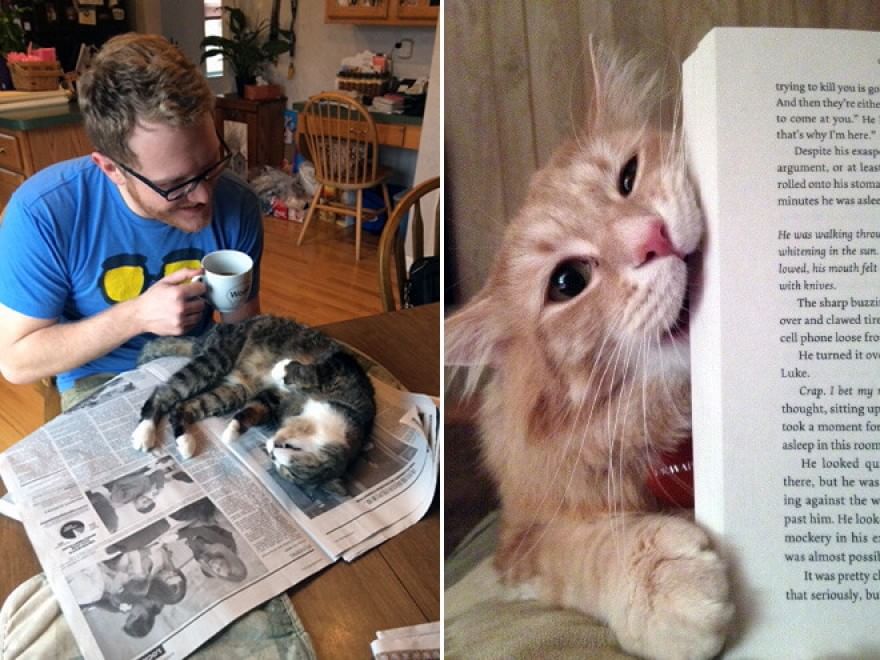 Cani e gatti, quando leggere &egrave; impossibile