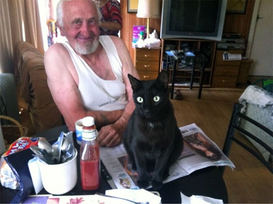 Cani e gatti, quando leggere &egrave; impossibile