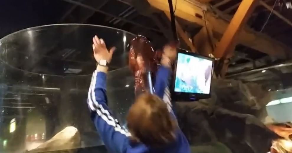 Seattle, la fuga del polpo dall'acquario: fotosequenza