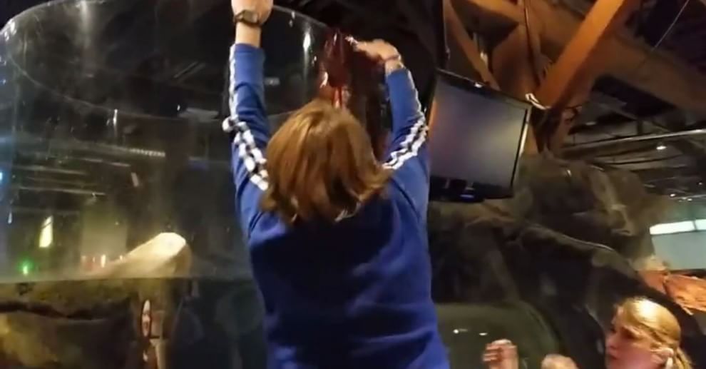 Seattle, la fuga del polpo dall'acquario: fotosequenza