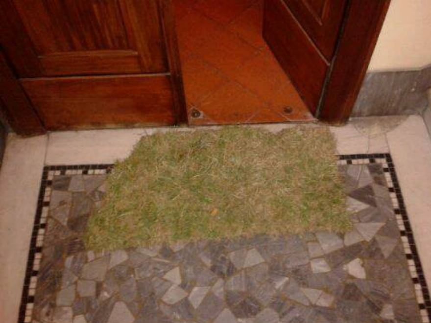Tracce di convivenza quotidiana, storie di coinquilini disperati