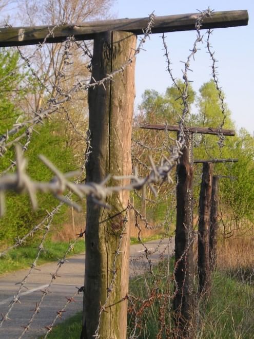 European Green Belt, la ex Cortina di ferro ora è un'oasi naturale