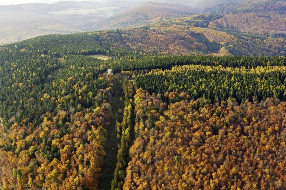 European Green Belt, la ex Cortina di ferro ora è un'oasi naturale