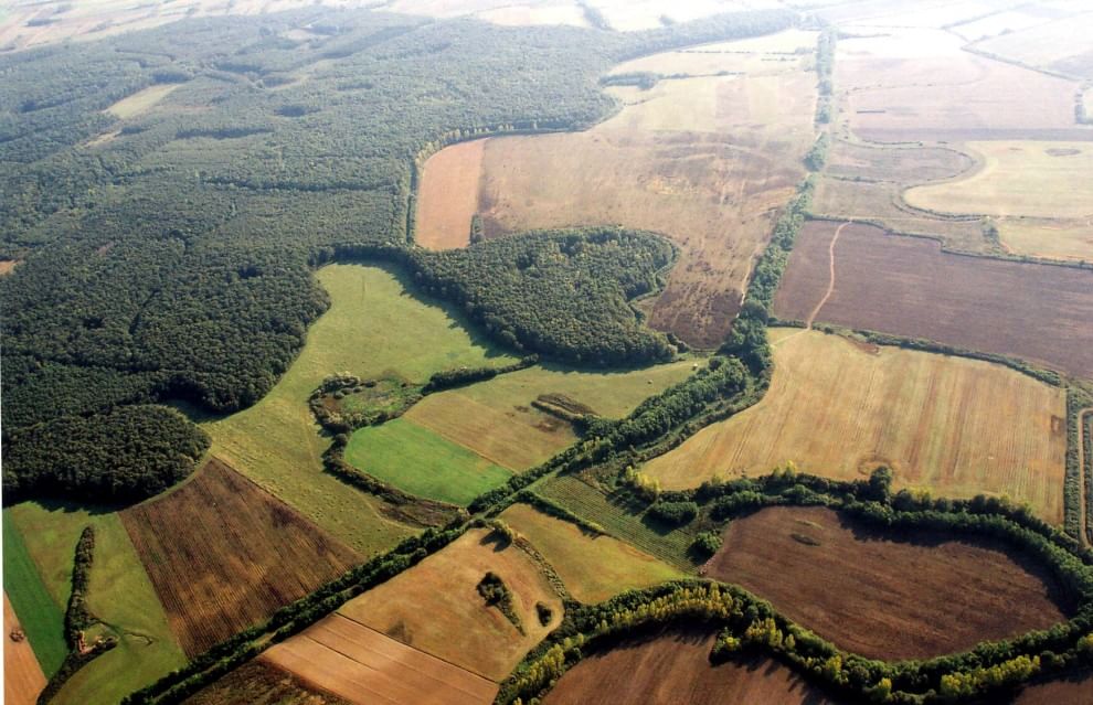 European Green Belt, la ex Cortina di ferro ora è un'oasi naturale