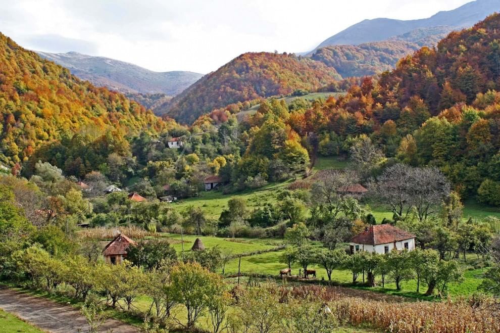European Green Belt, la ex Cortina di ferro ora è un'oasi naturale
