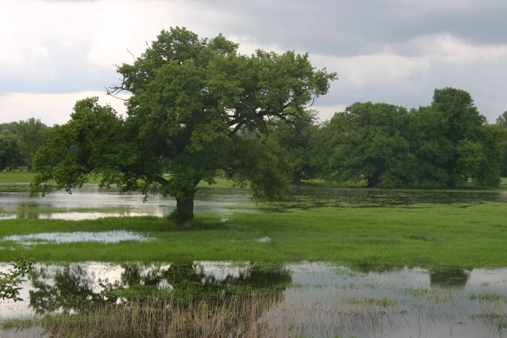 European Green Belt, la ex Cortina di ferro ora è un'oasi naturale
