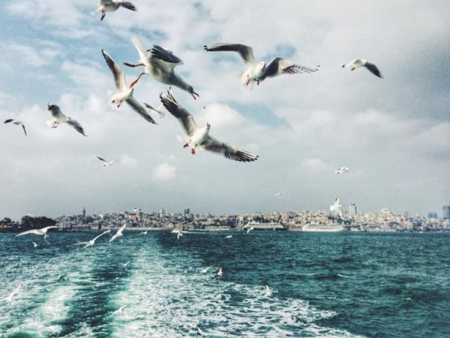 Sony World Mobile Phone Photography Awards 2015: gli scatti più belli fatti con gli smartphone