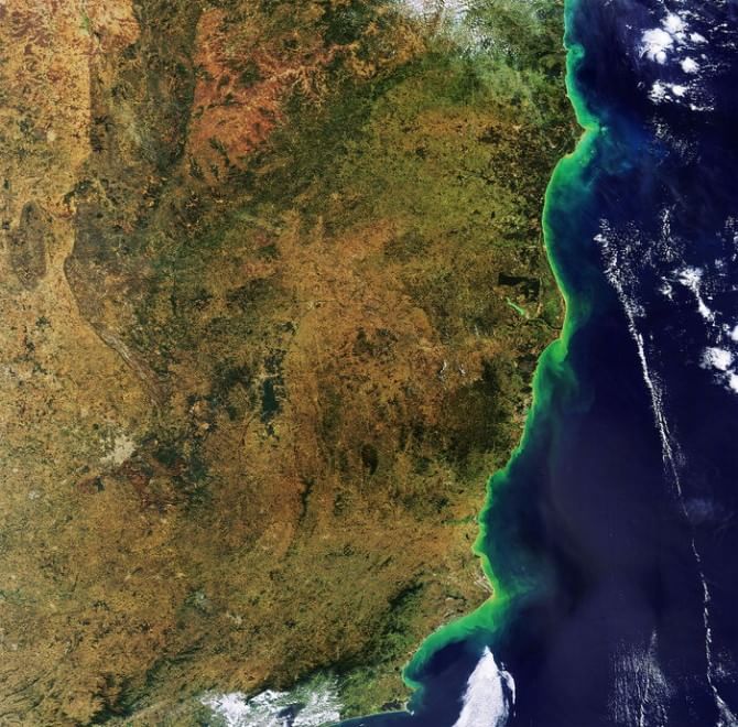 Foreste come isole: biodiversità a rischio