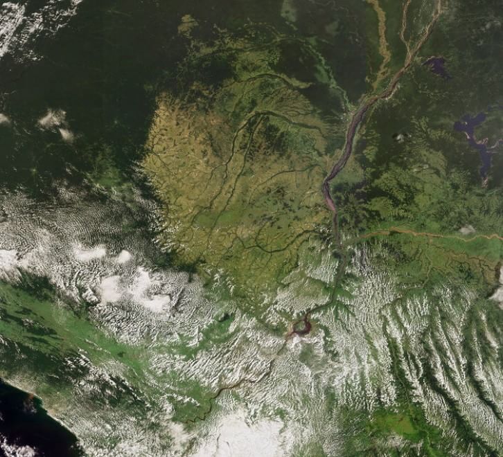 Foreste come isole: biodiversità a rischio