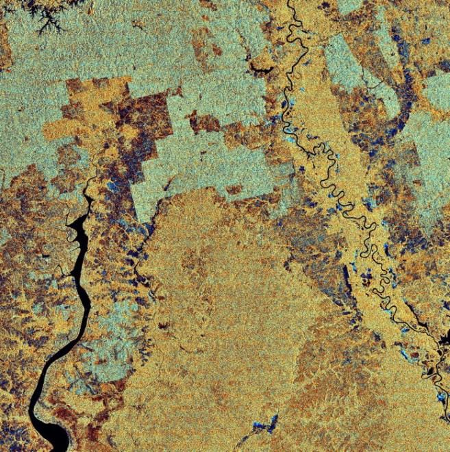 Foreste come isole: biodiversità a rischio